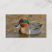 池で鳴き声を上げる緑の羽をしたティール(緑がかった色) 名刺 (正面)