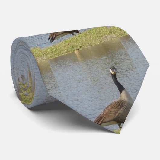 池によるガチョウ ネクタイ (ロール)
