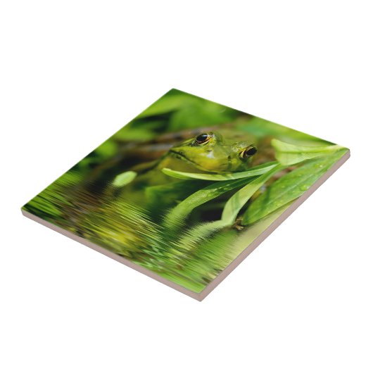 池による緑カエル タイル (側面)