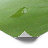 池にピンクのライリー ポスター (角)