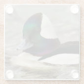 池に浮かぶ奇妙なかわいいカモ ガラスコースター (裏面)