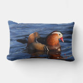 池に浮かぶ美しいまんだらんの鴨 ランバークッション (正面)