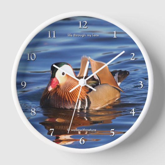 池に浮かぶ美しいまんだらんの鴨 壁時計 (正面)