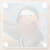 池に浮かぶ美しいみかん ガラスコースター (裏面)