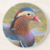 池に浮かぶ美しいみかん コースター (正面)