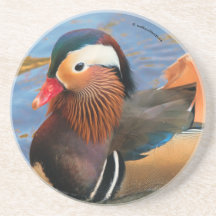 池に浮かぶ美しいみかん