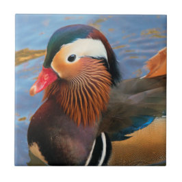 池に浮かぶ美しいみかん タイル