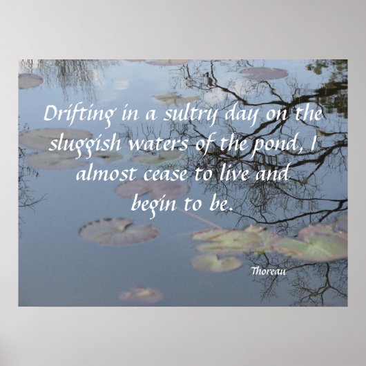 池に漂う ポスター (正面)