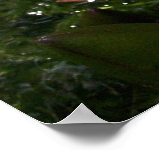 池に紫のユリ ポスター (角)