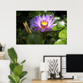池に紫のユリ ポスター (ホームオフィス)