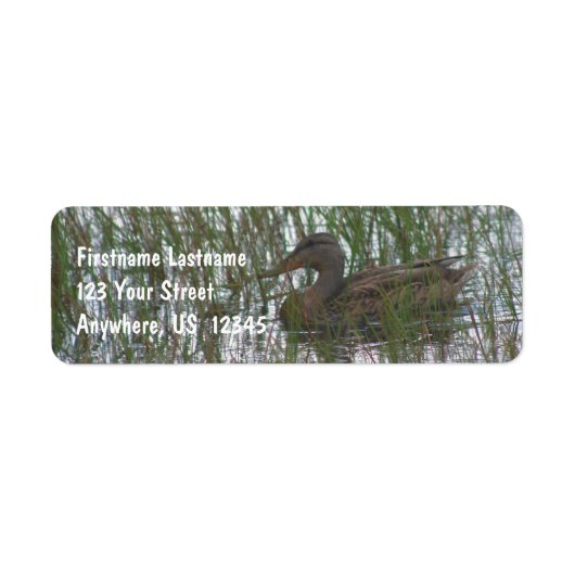 池に野生の茶色のアヒルの自然アドレス ラベル (正面)