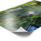 池に鴨を飛び込む フォトプリント            (角)