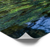 池に鴨を飛び込む ポスター (角)