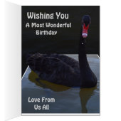 池に黒い白鳥の水滴、誕生日カード (内側 (右))