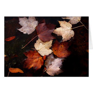 池のかえでの葉