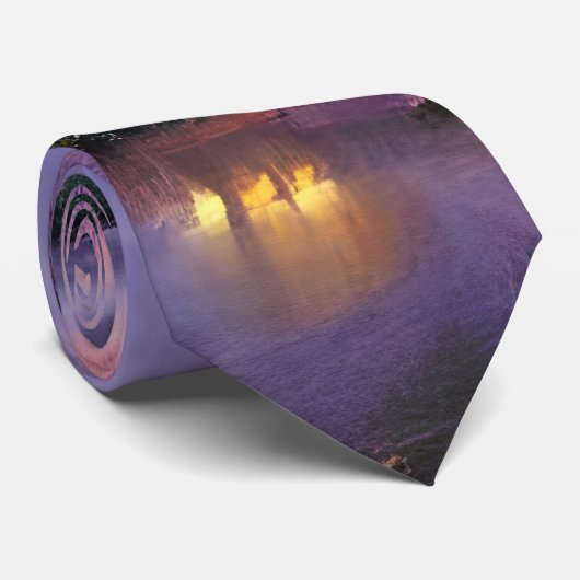 池のそばの夕暮れ時のピンクの柳 ネクタイ (ロール)