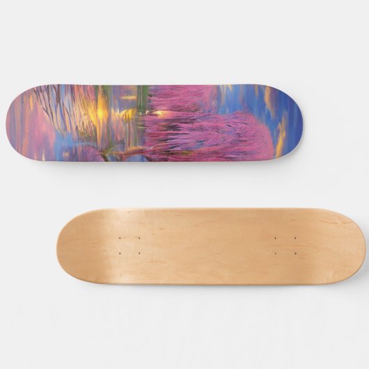 池のそばの夕暮れ時のピンク色の柳 スケートボード (横)