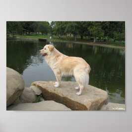 池のほとりの犬 ポスター