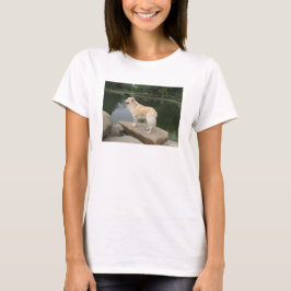 池のほとりの犬 Tシャツ