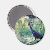 池のアオサギ マグネット (正面/裏面)