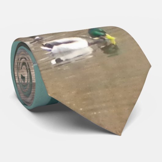 池のアヒル ネクタイ (ロール)