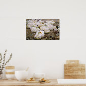 池のアヒル ポスター (キッチン)