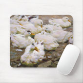 池のアヒル マウスパッド (マウス)