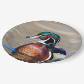 池のアメリカオシ ペーパープレート (アングル)