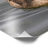 池のオシドモ フォトプリント            (角)