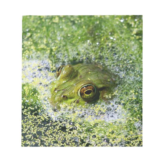 池のカエルの目 ノートパッド (正面)