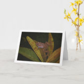 池のカエルの肖像 カード (黄色い花)
