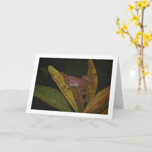 池のカエルの肖像 カード (黄色い花)