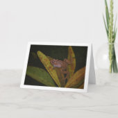 池のカエルの肖像 カード (正面)