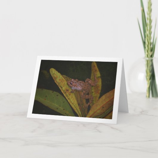 池のカエルの肖像 カード (正面)