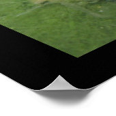 池のカエル ポスター (角)