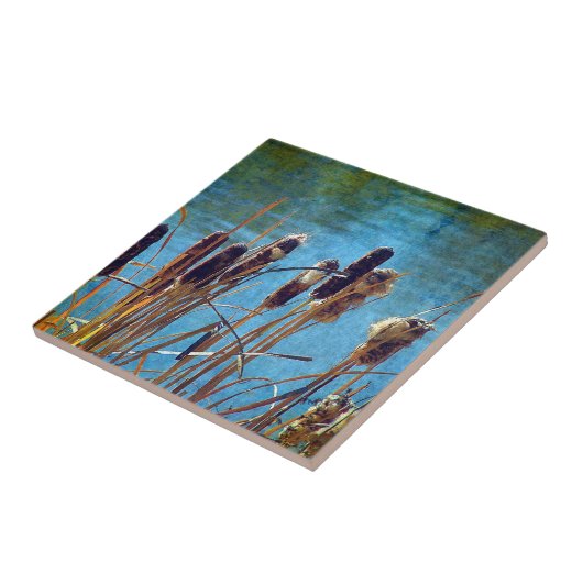 池のカタイル タイル (側面)