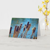 池のカタテール カード (黄色い花)