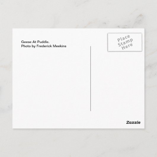 池のカモ ポストカード (裏面)