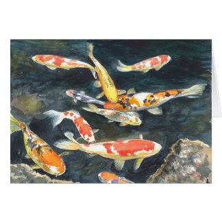 池のコイの魚の学校