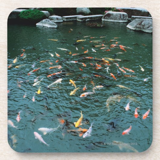 池のコイ コースター (正面)