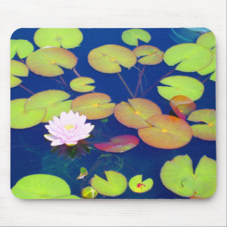 池のスイレンの浮いている葉によって浮かぶピンクのはすの花 マウスパッド