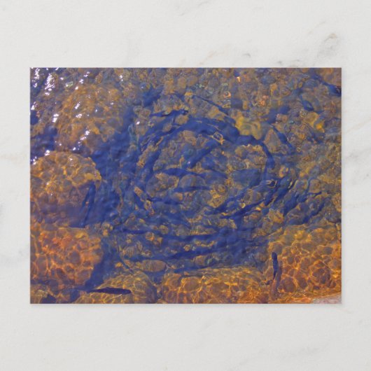 池のタイトなボールのマス，チャルヴォワ， MI ポストカード (正面)