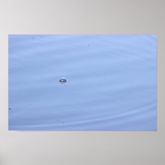 池のバブルのポスター ポスター (正面)