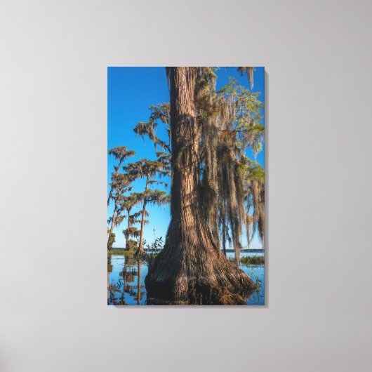 池のヒノキ キャンバスプリント (正面)