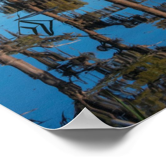 池のヒノキ ポスター (角)