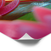 池のフロップに浮かぶカエル ポスター (コーナー)