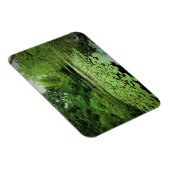 池のリリー・パッド マグネット (右側)