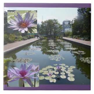 池の上の紫色の蓮の花 陶器タイル タイル