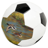 池の上飛んでいるのアヒル サッカーボール (3/4)
