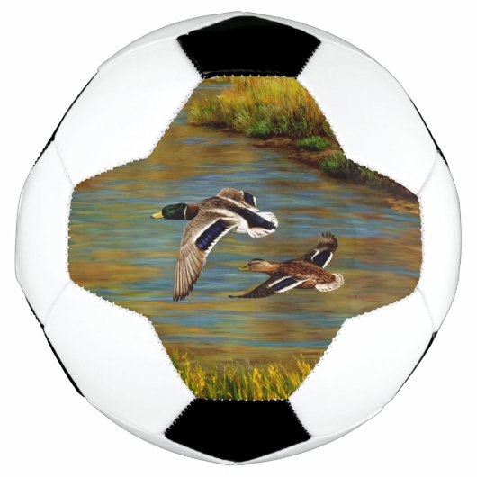 池の上飛んでいるのアヒル サッカーボール (正面)